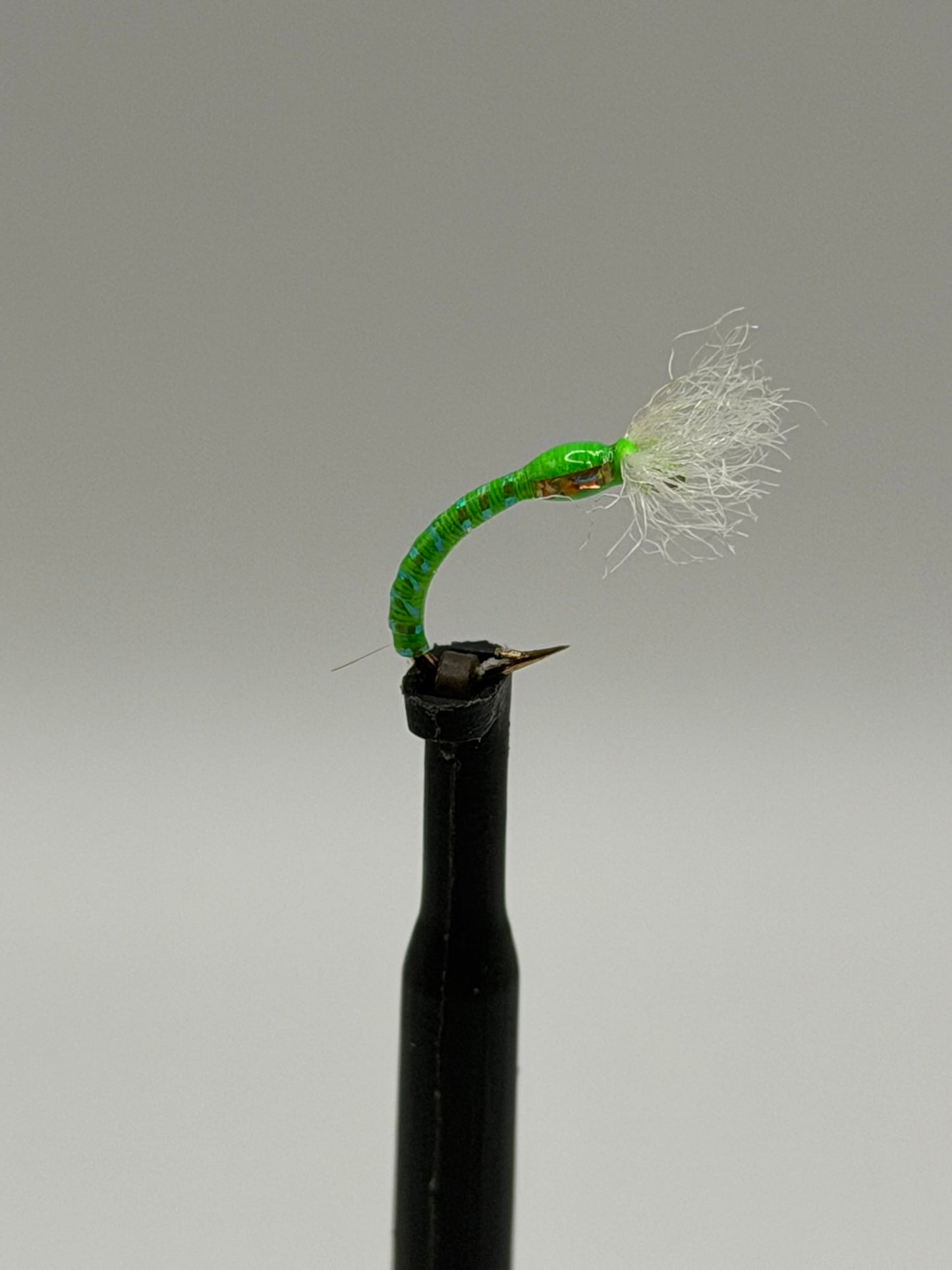 3D Buzzer - Chironomid