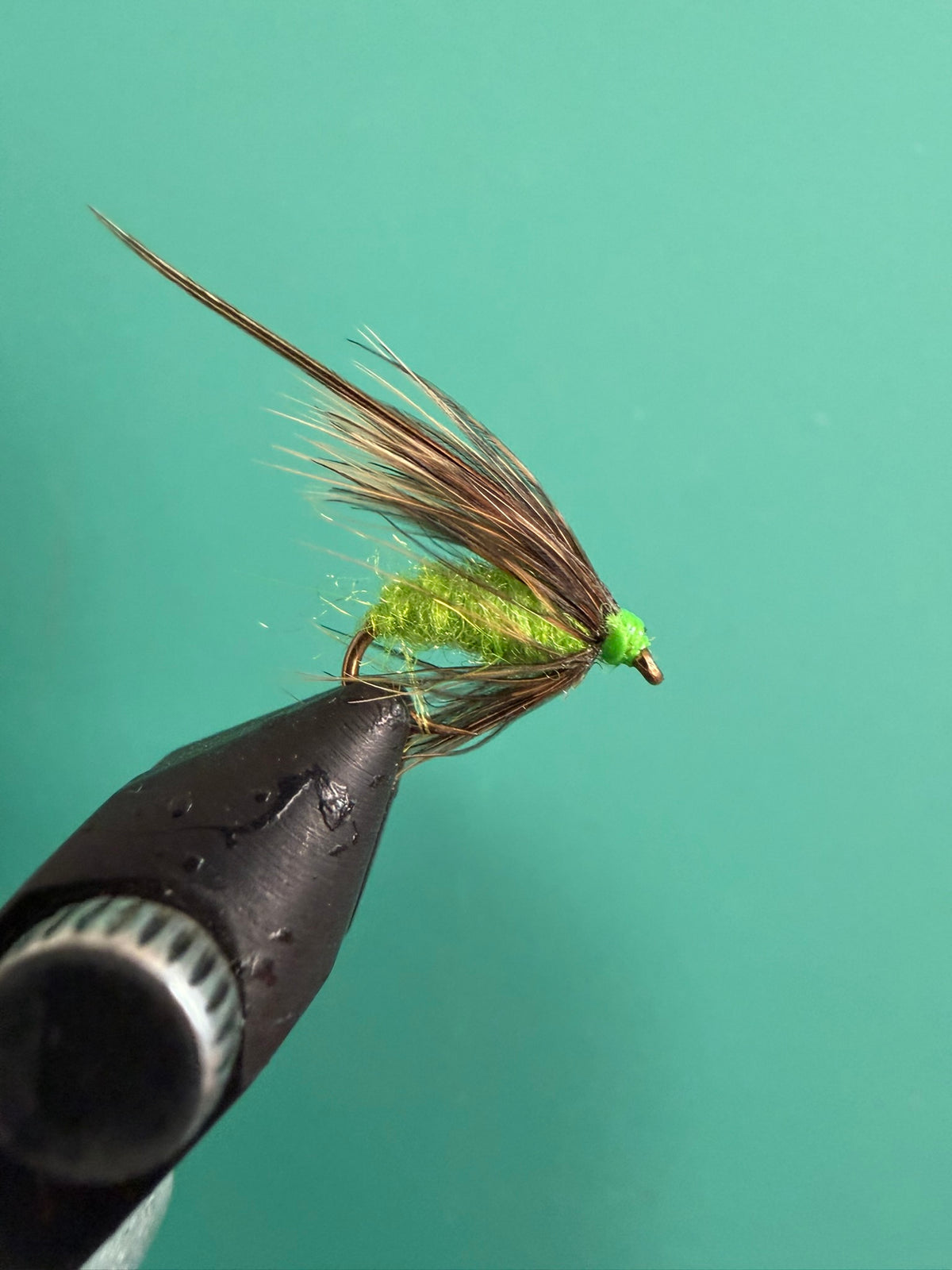 Caddis Pupa Chartreuse