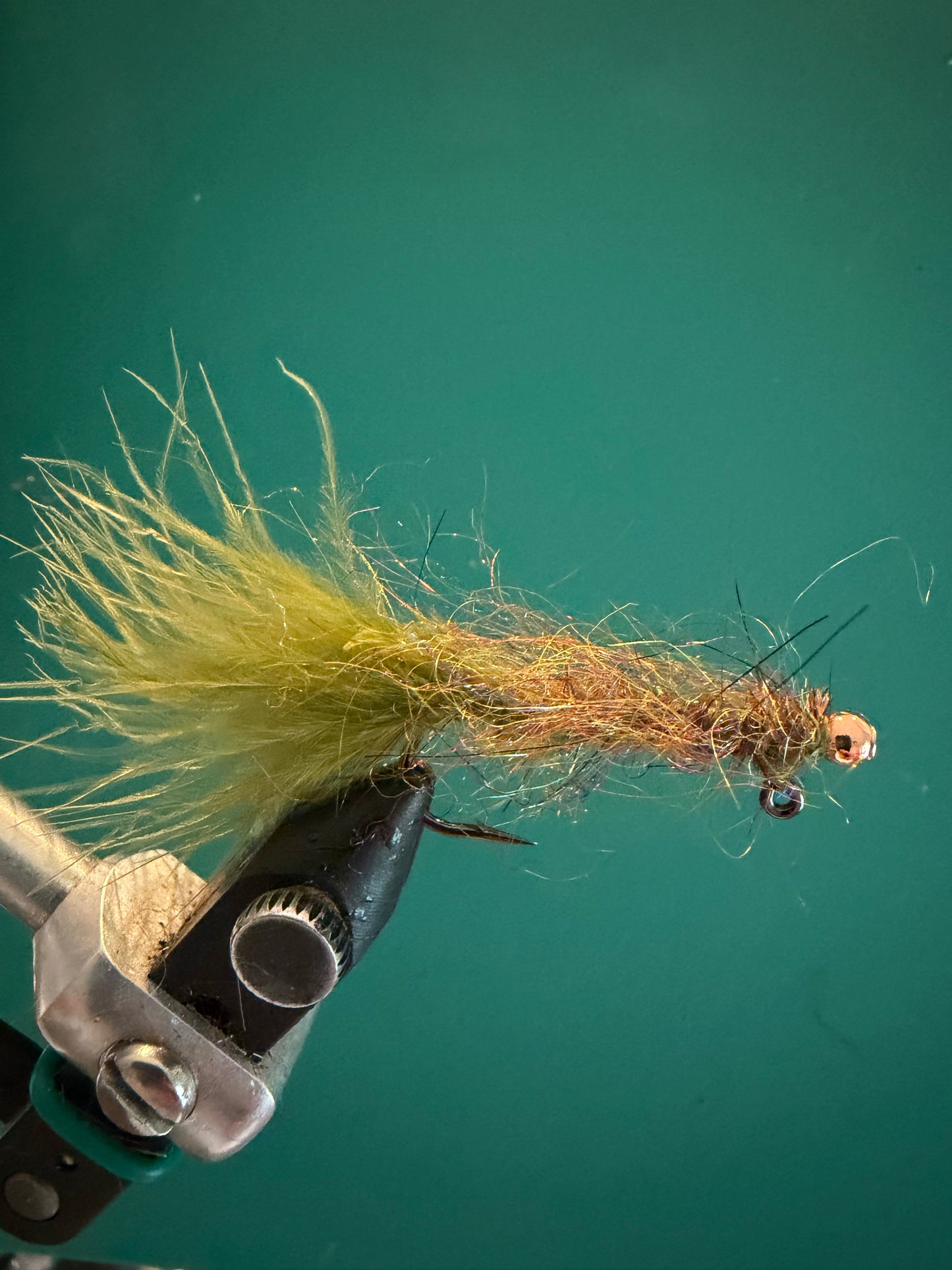 Balanced Leech - Olive
