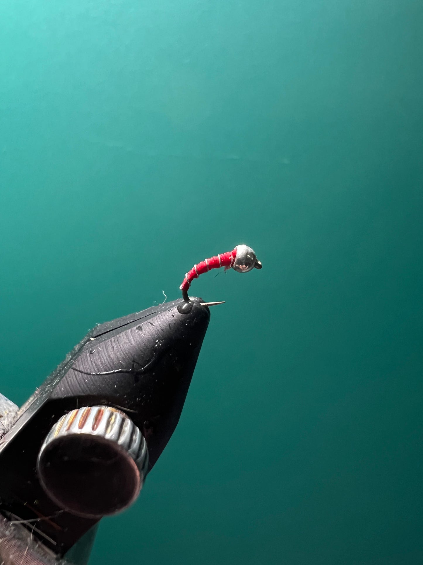 Zebra Midge - Red