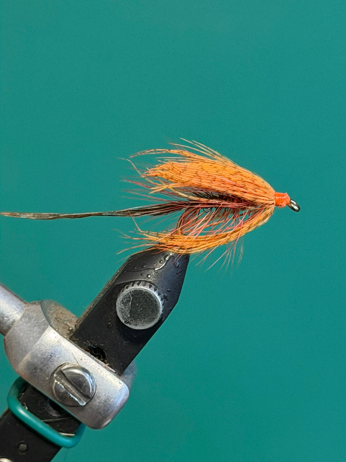 Carey Special