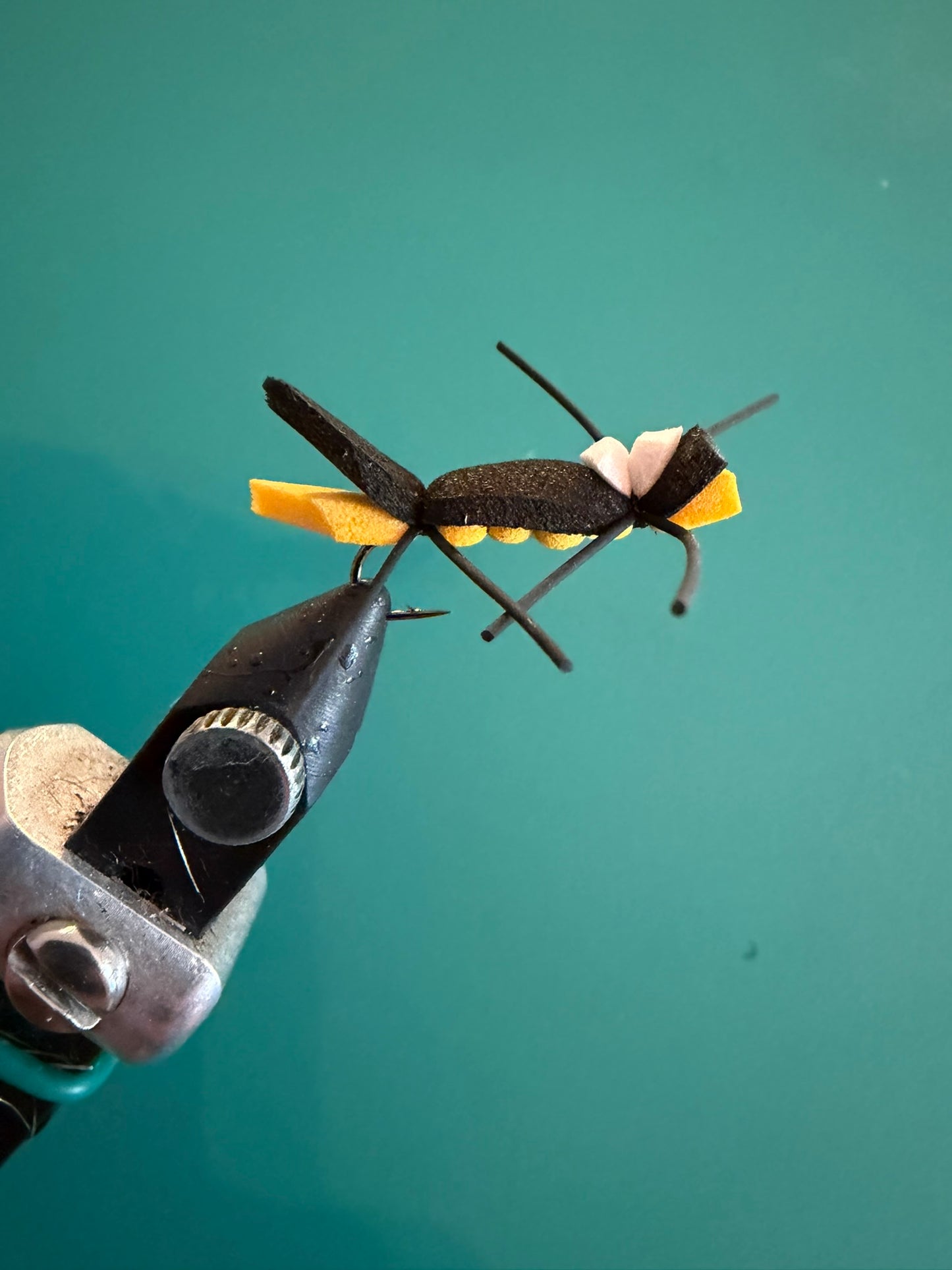 Chernobyl Ant