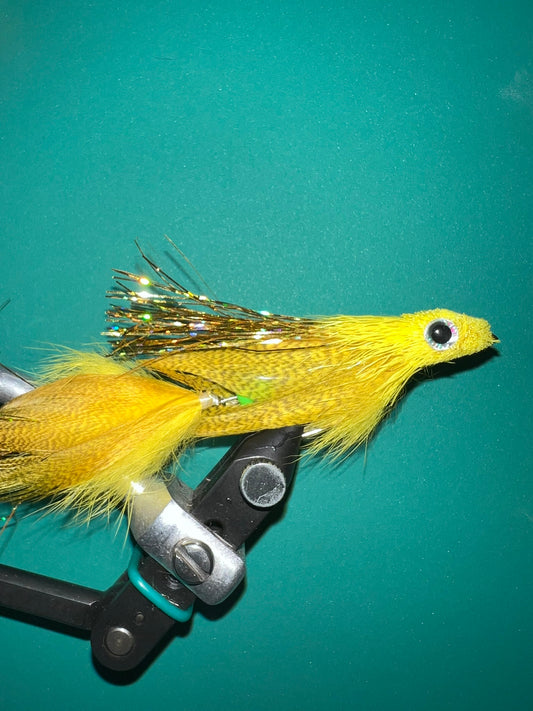 Drunk and Disorderly - Chartreuse/Olive