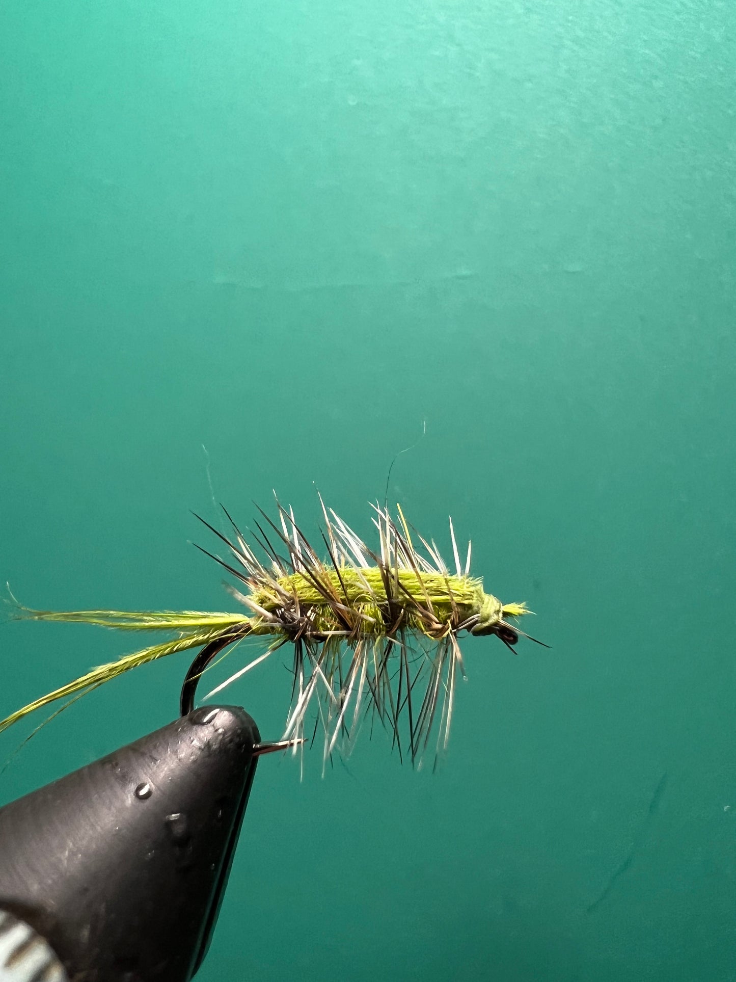 Calibaetis - Stillwater