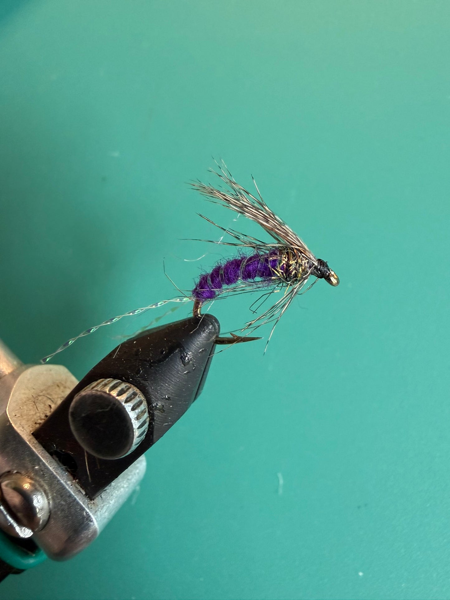 Purple Haze Soft Hackle