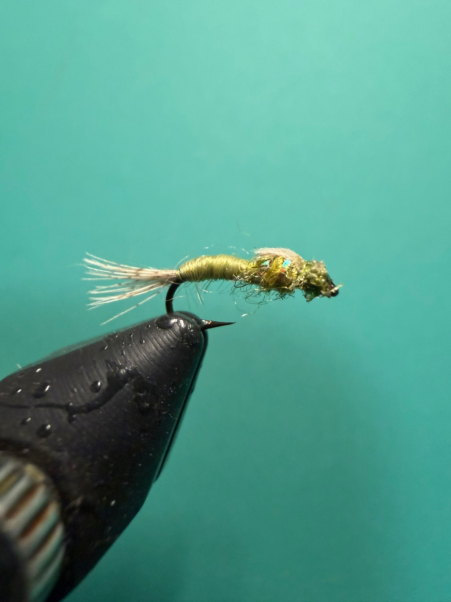 WD40 Nymph