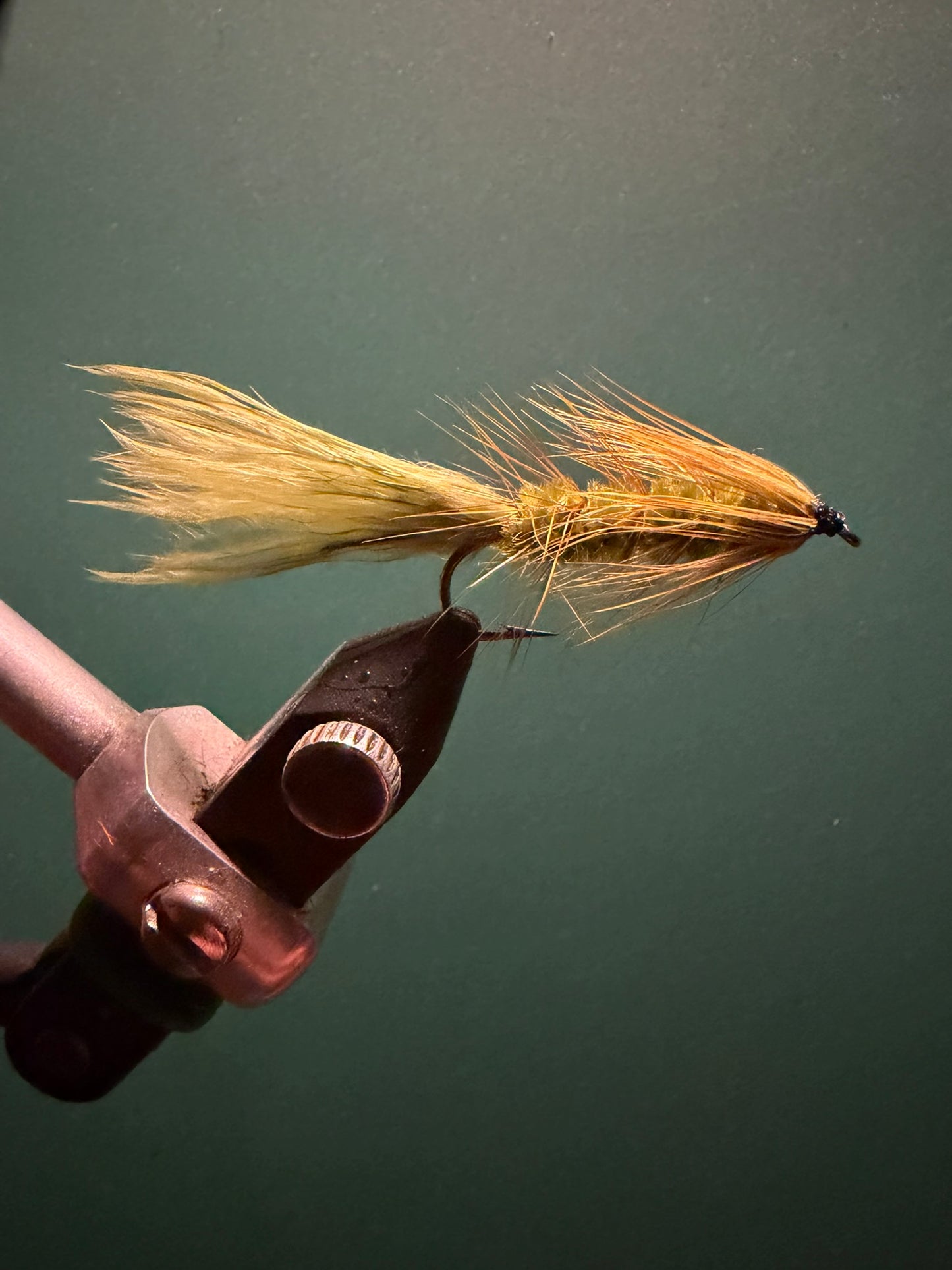 Woolly Bugger