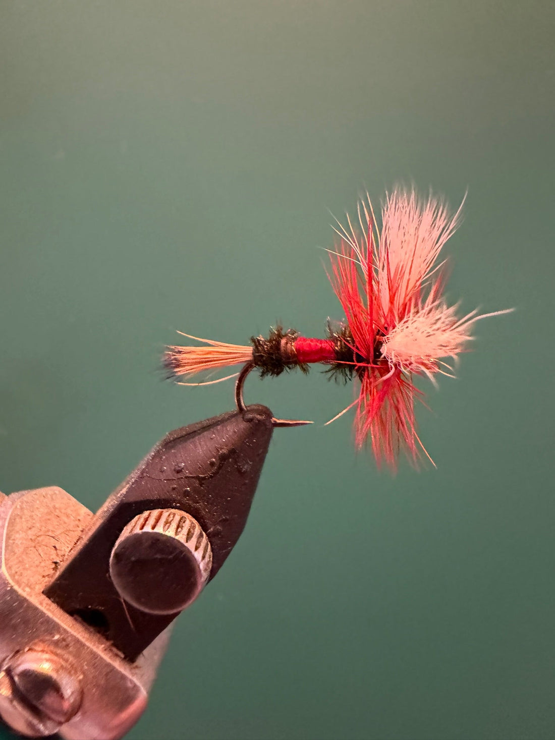 Wulff Dry Flies: How, When, and Why to Fish Them (Plus a Tying Recipe)
