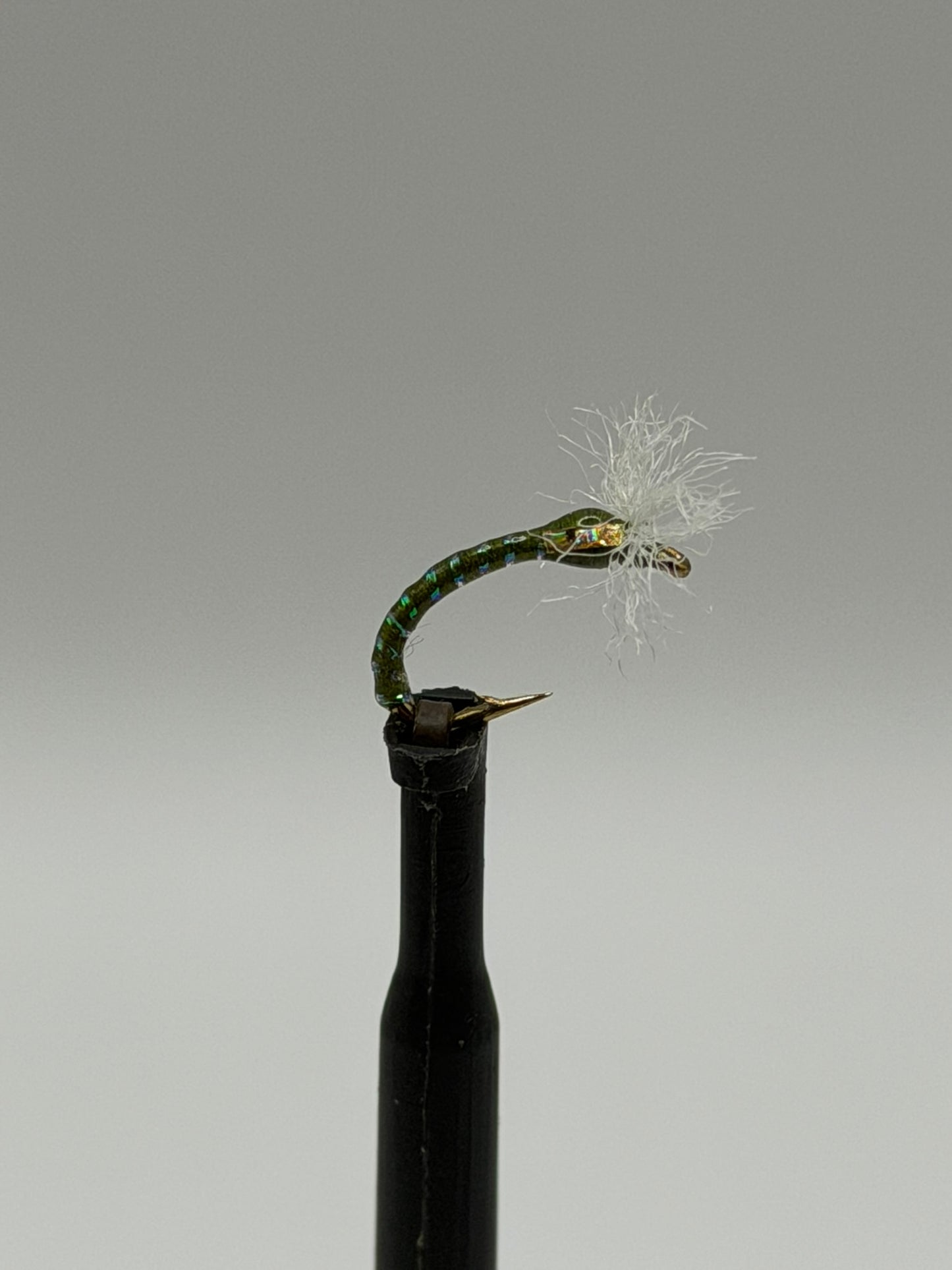 3D Buzzer - Chironomid