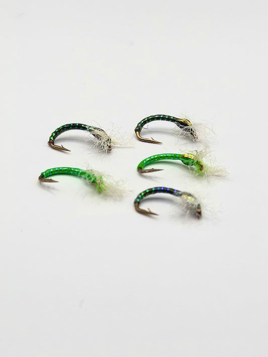 3D Buzzer - Chironomid