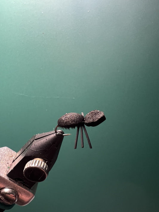 Beetle - Black