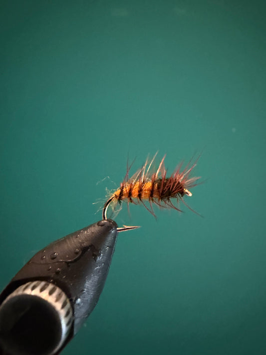Supa Pupa