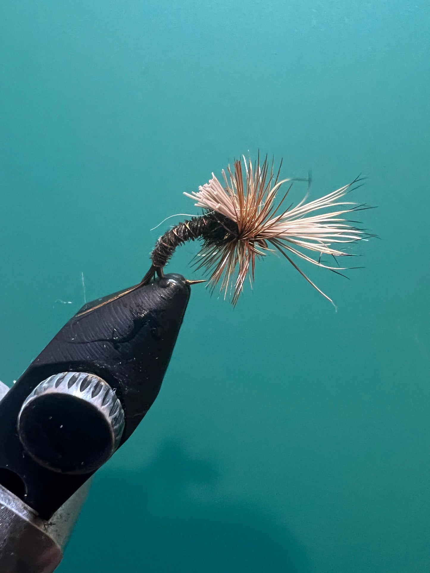 Pheasant Tail Challenged