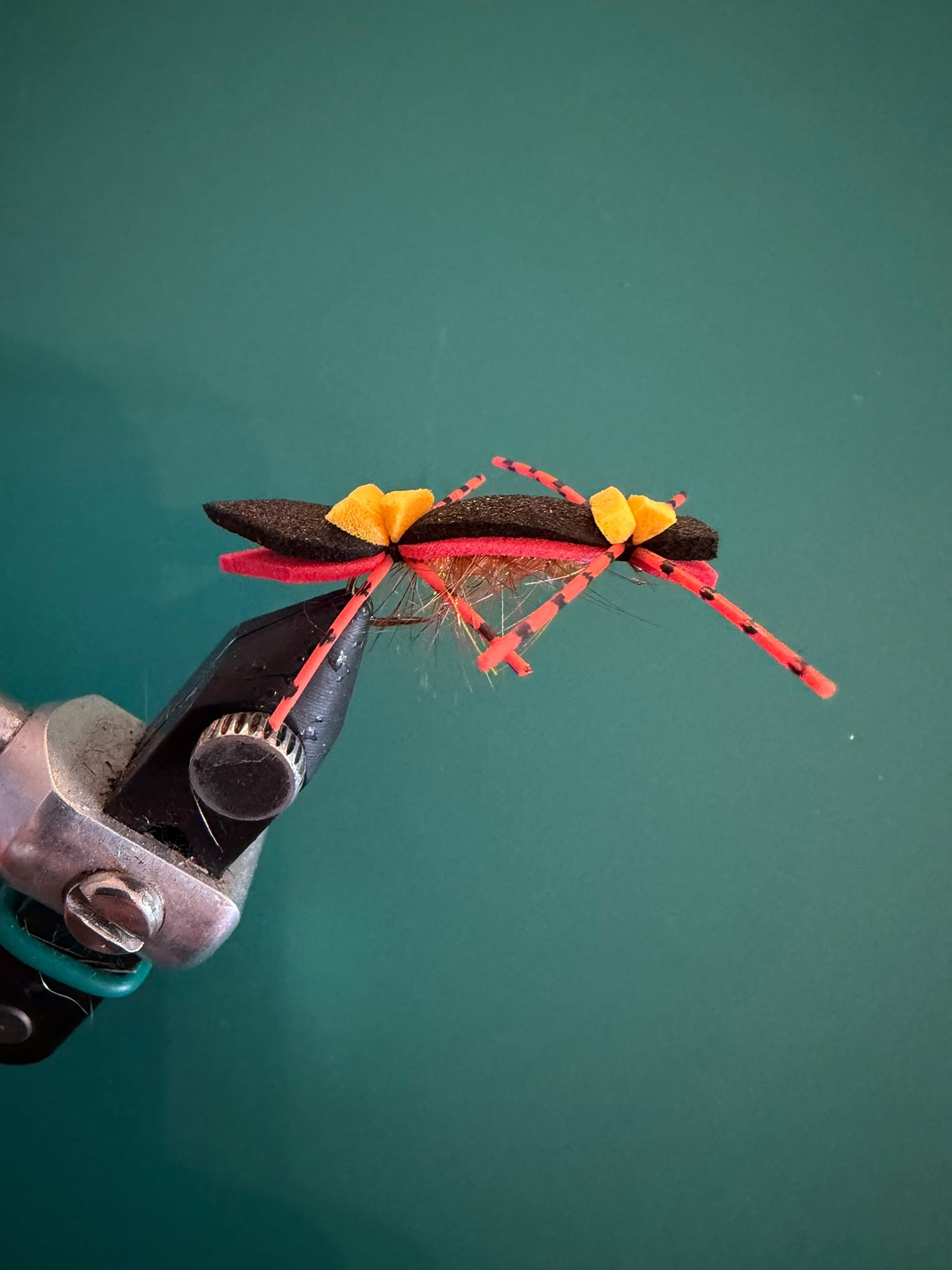 Chernobyl Ant