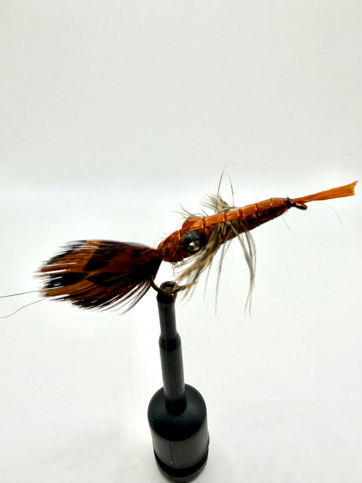 Crayfish
