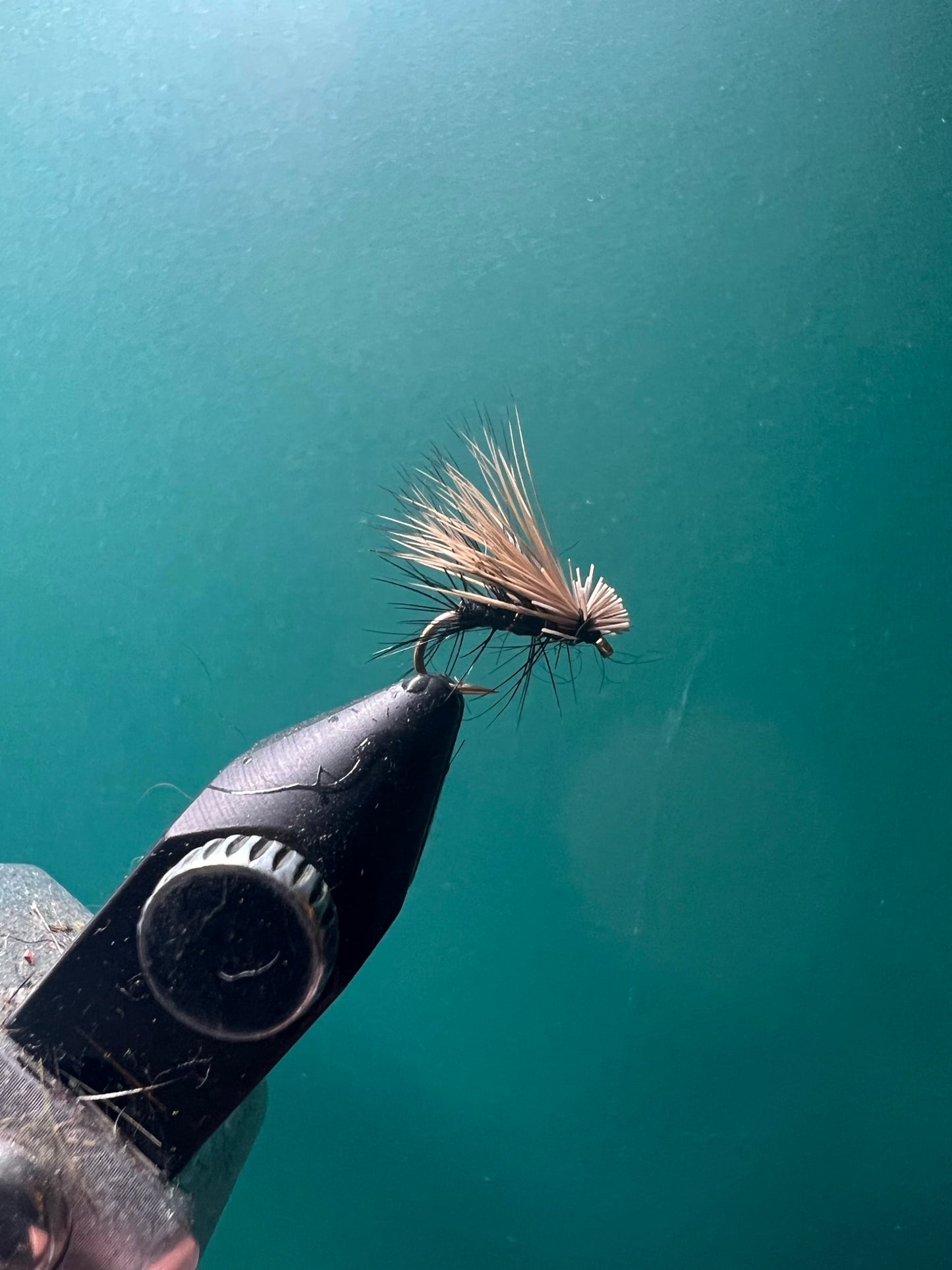 Elk Hair Caddis - Black