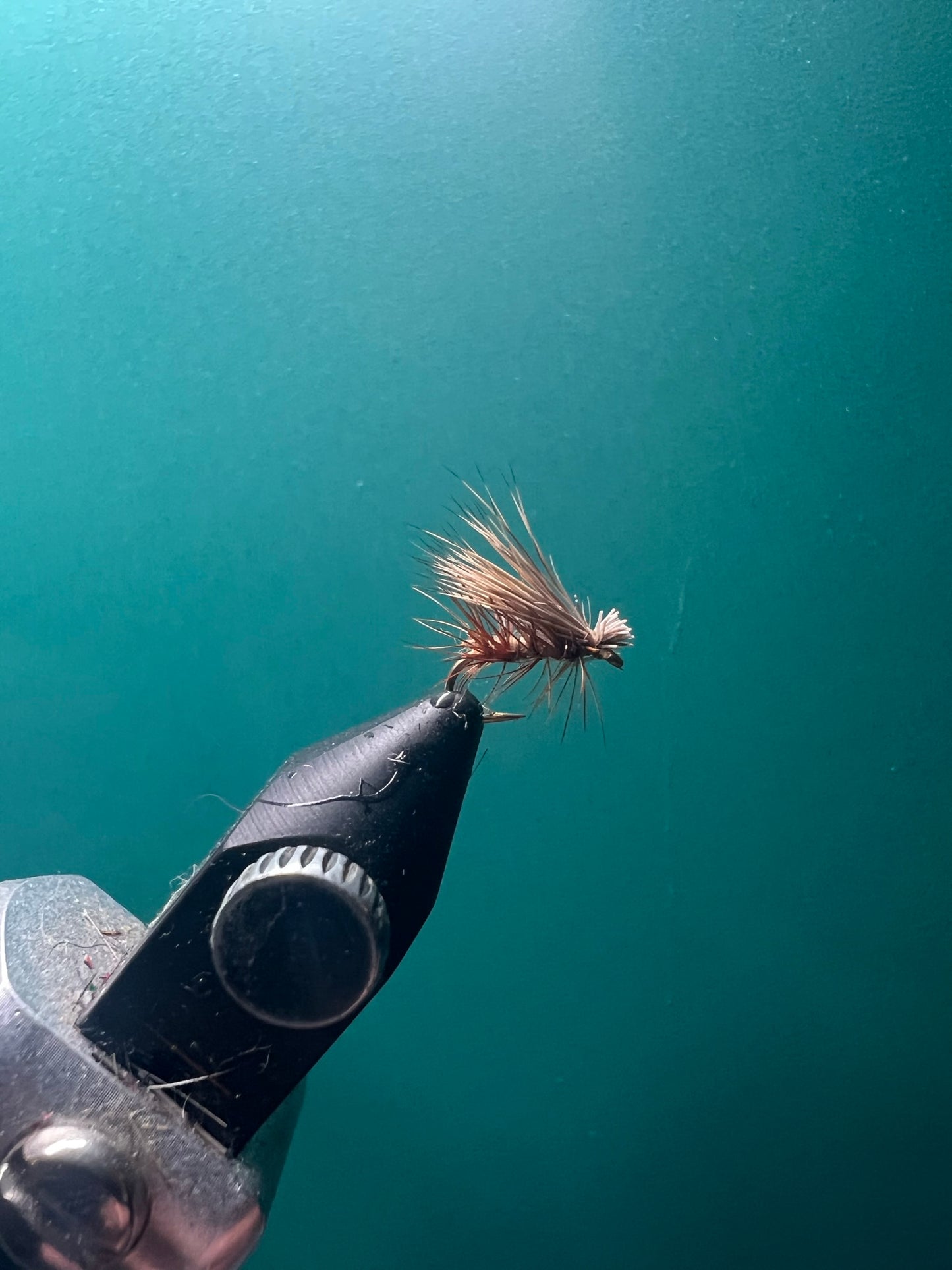 Elk Hair Caddis - Tan