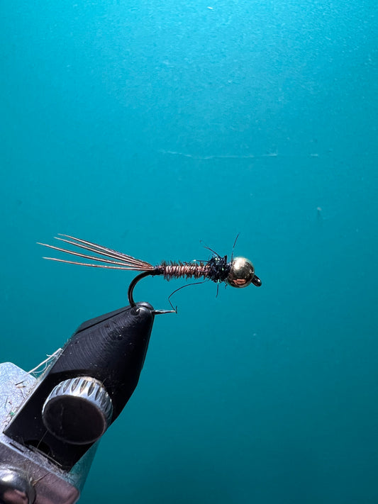 Pheasant Tail - Gold and Black