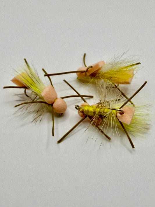 Larimeers Yellow Sally