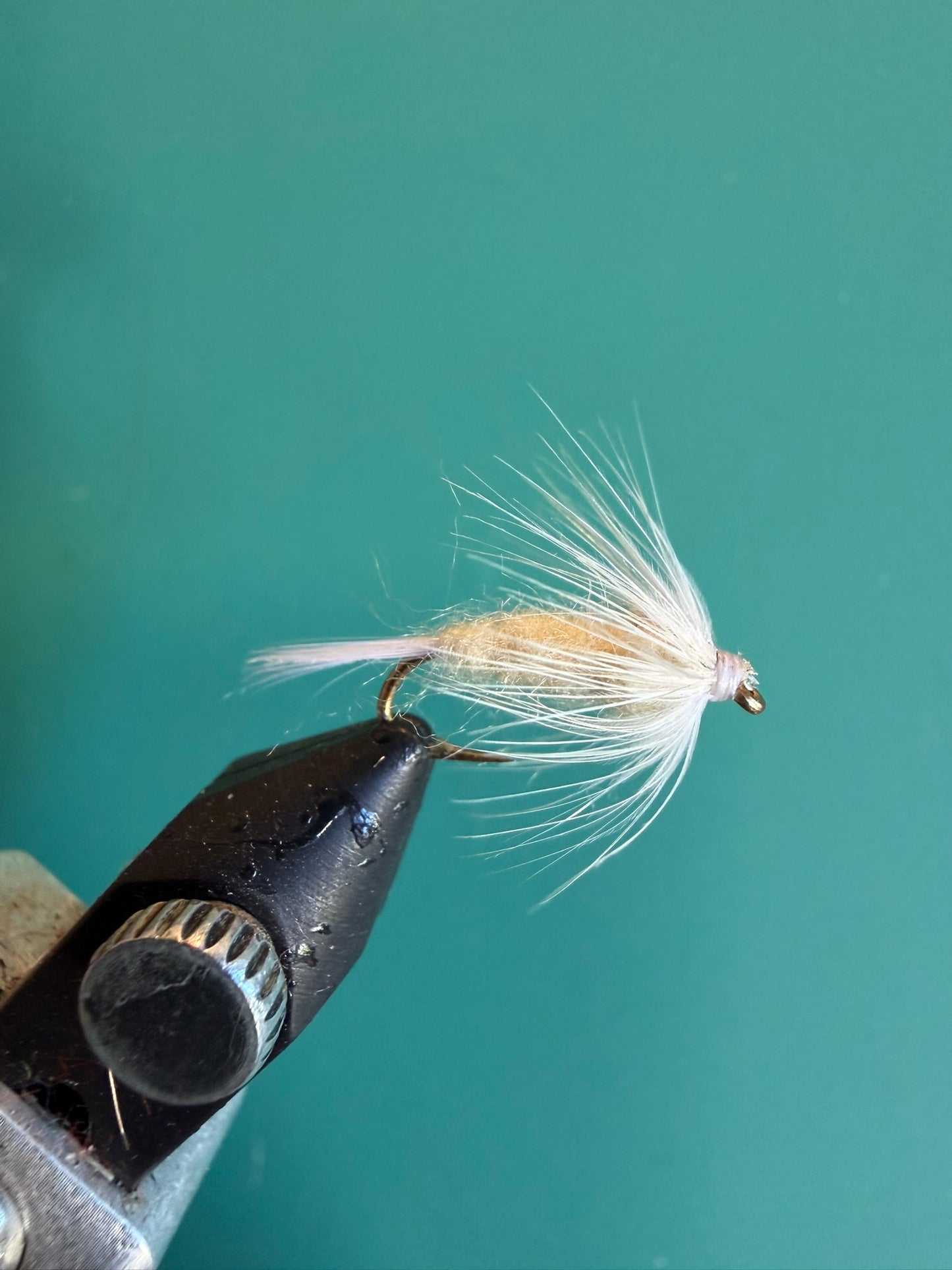 Light Cahill Nymph