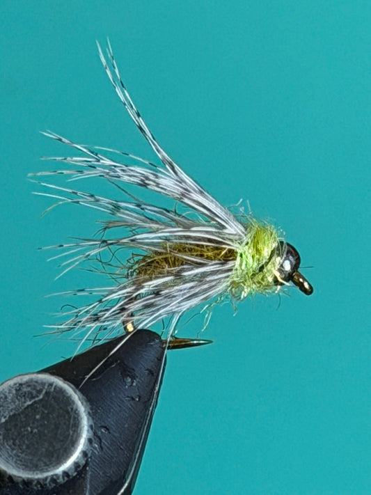 Peeking Caddis