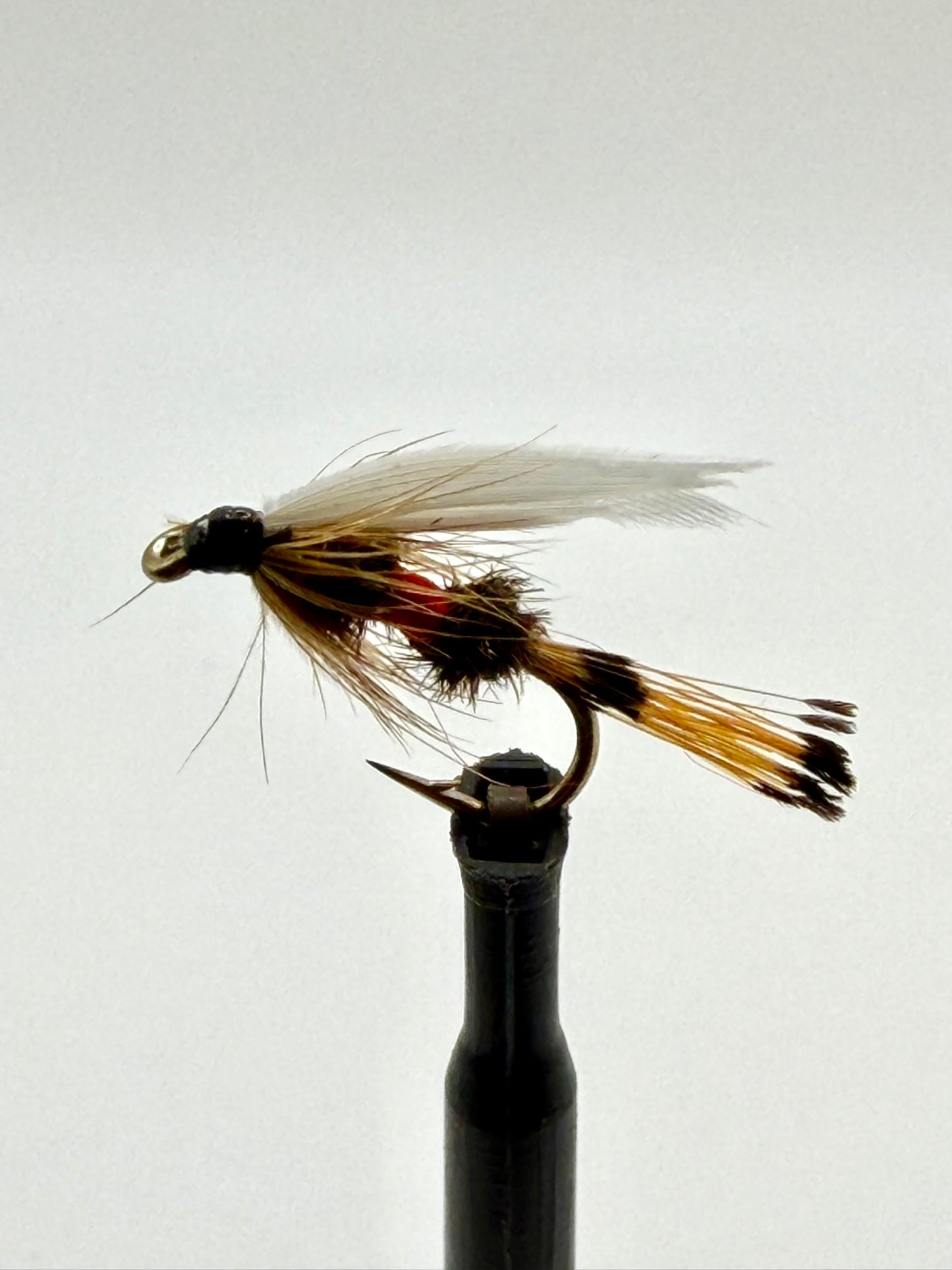 Royal Coachman Wet