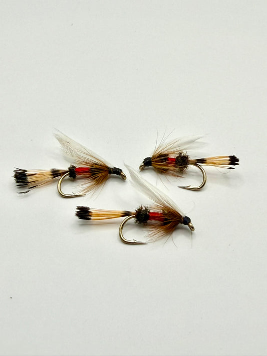Royal Coachman Wet