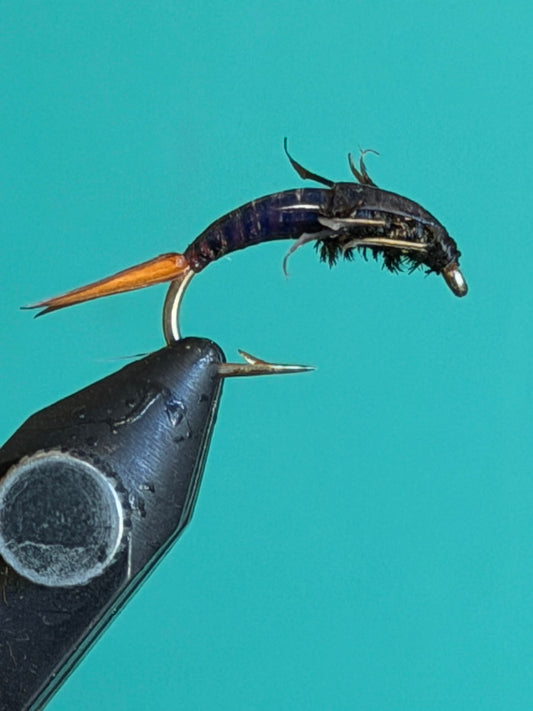 Stonefly Nymph