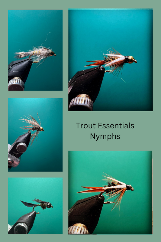 Trout Essential Nymphs